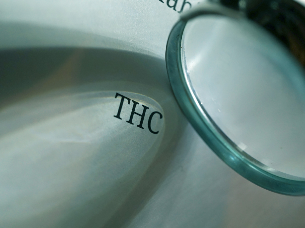 Jaka jest różnica między THC a CBD?