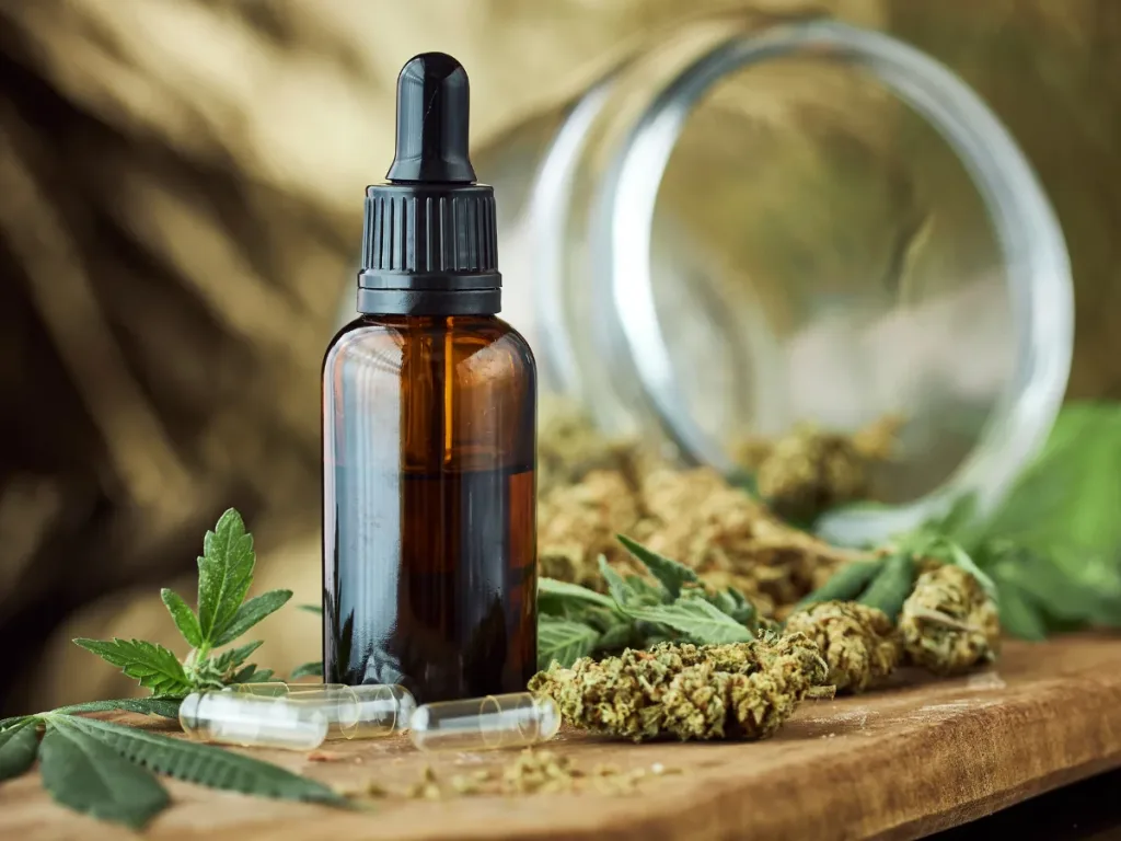 Jaka jest różnica między THC a CBD?