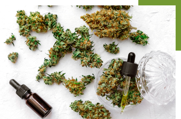 Medyczna marihuana i olej z konopi na stole