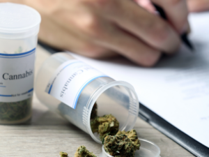 Medyczna marihuana w pojemniku