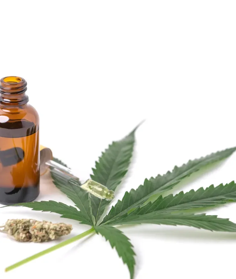 Czy medyczna marihuana uzależnia?