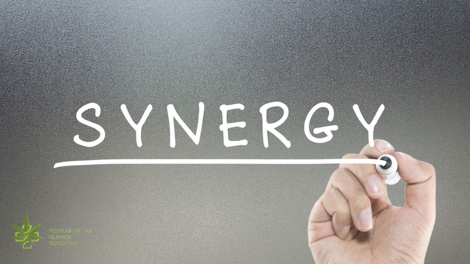 Entourage Effect: Odkryj, jak synergia w konopiach wpływa na Twoją terapię