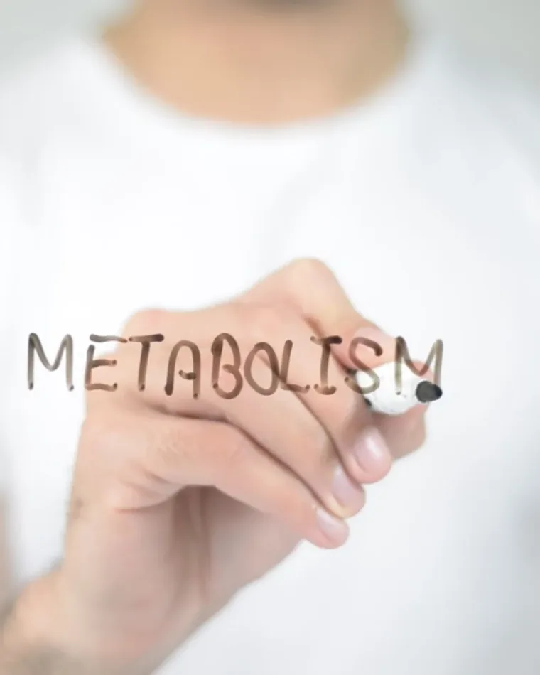 Metabolizm THC i CBD – droga kannabinoidów przez ludzki organizm
